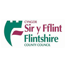 flintshire county council logo